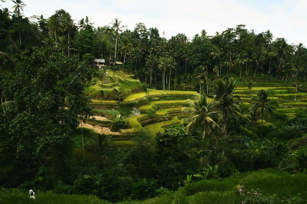10x de mooiste honeymoon bestemmingen voor jullie huwelijksreis bali